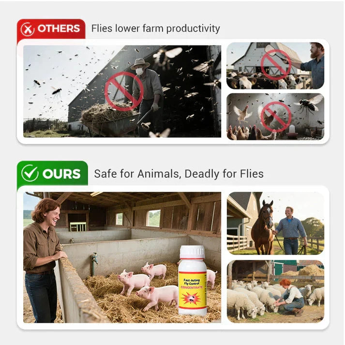 EcoSafe Fly Control | FlyFree 24-Hour Defense - 🔥 Buy 1 Get 1 Free 🔥